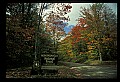 02256-00007-Spruce Knob National Recreation Area-Monongahela National Forest.jpg