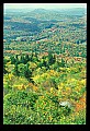 02256-00008-Spruce Knob National Recreation Area-Monongahela National Forest.jpg