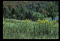 02256-00009-Spruce Knob National Recreation Area-Monongahela National Forest.jpg