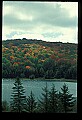 02256-00010-Spruce Knob National Recreation Area-Monongahela National Forest.jpg