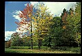 02256-00016-Spruce Knob National Recreation Area-Monongahela National Forest.jpg