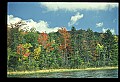 02256-00018-Spruce Knob National Recreation Area-Monongahela National Forest.jpg