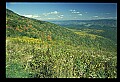 02256-00020-Spruce Knob National Recreation Area-Monongahela National Forest.jpg