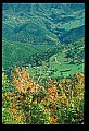 02256-00021-Spruce Knob National Recreation Area-Monongahela National Forest.jpg