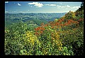02256-00022-Spruce Knob National Recreation Area-Monongahela National Forest.jpg