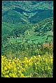 02256-00023-Spruce Knob National Recreation Area-Monongahela National Forest.jpg