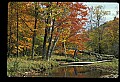 02256-00024-Spruce Knob National Recreation Area-Monongahela National Forest.jpg