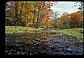 02256-00025-Spruce Knob National Recreation Area-Monongahela National Forest.jpg