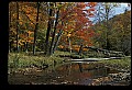 02256-00027-Spruce Knob National Recreation Area-Monongahela National Forest.jpg