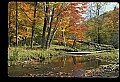 02256-00029-Spruce Knob National Recreation Area-Monongahela National Forest.jpg