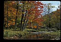02256-00030-Spruce Knob National Recreation Area-Monongahela National Forest.jpg