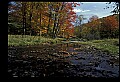 02256-00031-Spruce Knob National Recreation Area-Monongahela National Forest.jpg