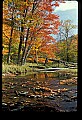 02256-00034-Spruce Knob National Recreation Area-Monongahela National Forest.jpg