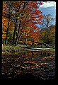 02256-00038-Spruce Knob National Recreation Area-Monongahela National Forest.jpg