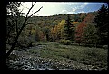 02256-00039-Spruce Knob National Recreation Area-Monongahela National Forest.jpg