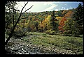 02256-00040-Spruce Knob National Recreation Area-Monongahela National Forest.jpg