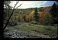 02256-00041-Spruce Knob National Recreation Area-Monongahela National Forest.jpg