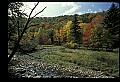 02256-00042-Spruce Knob National Recreation Area-Monongahela National Forest.jpg