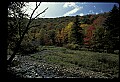 02256-00043-Spruce Knob National Recreation Area-Monongahela National Forest.jpg