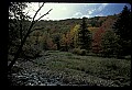 02256-00044-Spruce Knob National Recreation Area-Monongahela National Forest.jpg