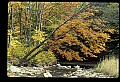 02256-00045-Spruce Knob National Recreation Area-Monongahela National Forest.jpg
