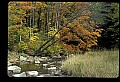 02256-00046-Spruce Knob National Recreation Area-Monongahela National Forest.jpg