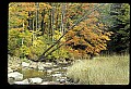02256-00047-Spruce Knob National Recreation Area-Monongahela National Forest.jpg