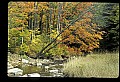 02256-00048-Spruce Knob National Recreation Area-Monongahela National Forest.jpg