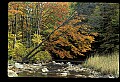 02256-00049-Spruce Knob National Recreation Area-Monongahela National Forest.jpg