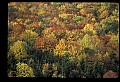 02256-00052-Spruce Knob National Recreation Area-Monongahela National Forest.jpg
