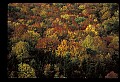 02256-00053-Spruce Knob National Recreation Area-Monongahela National Forest.jpg