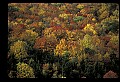 02256-00054-Spruce Knob National Recreation Area-Monongahela National Forest.jpg