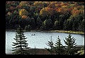 02256-00055-Spruce Knob National Recreation Area-Monongahela National Forest.jpg