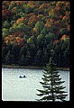 02256-00060-Spruce Knob National Recreation Area-Monongahela National Forest.jpg