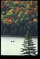 02256-00061-Spruce Knob National Recreation Area-Monongahela National Forest.jpg