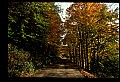 02256-00064-Spruce Knob National Recreation Area-Monongahela National Forest.jpg