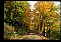 02256-00065-Spruce Knob National Recreation Area-Monongahela National Forest.jpg
