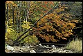 02256-00076-Spruce Knob National Recreation Area-Monongahela National Forest.jpg