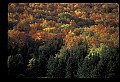 02256-00077-Spruce Knob National Recreation Area-Monongahela National Forest.jpg