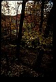 02256-00081-Spruce Knob National Recreation Area-Monongahela National Forest.jpg