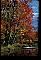 02256-00082-Spruce Knob National Recreation Area-Monongahela National Forest.jpg