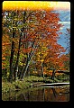 02256-00083-Spruce Knob National Recreation Area-Monongahela National Forest.jpg