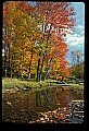 02256-00085-Spruce Knob National Recreation Area-Monongahela National Forest.jpg