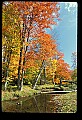 02256-00091-Spruce Knob National Recreation Area-Monongahela National Forest.jpg