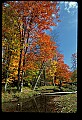 02256-00093-Spruce Knob National Recreation Area-Monongahela National Forest.jpg