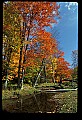 02256-00094-Spruce Knob National Recreation Area-Monongahela National Forest.jpg