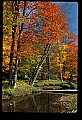 02256-00096-Spruce Knob National Recreation Area-Monongahela National Forest.jpg