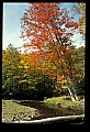 02256-00098-Spruce Knob National Recreation Area-Monongahela National Forest.jpg
