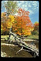 02256-00099-Spruce Knob National Recreation Area-Monongahela National Forest.jpg