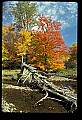 02256-00101-Spruce Knob National Recreation Area-Monongahela National Forest.jpg